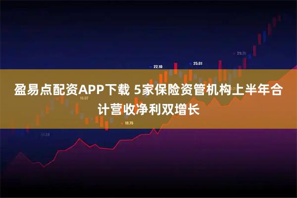 盈易点配资APP下载 5家保险资管机构上半年合计营收净利双增长